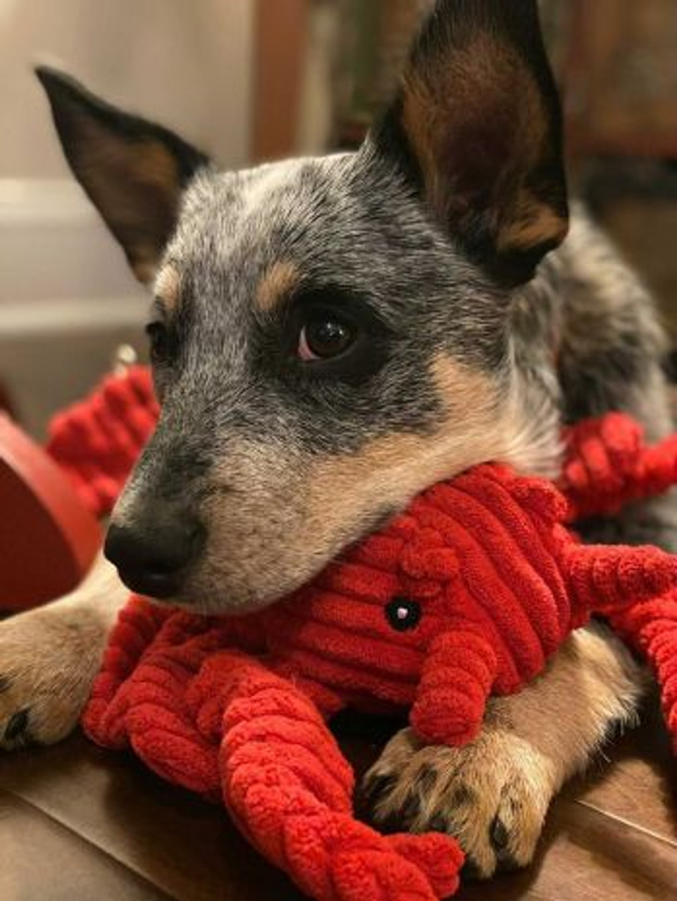 Plush Lobster Crunch Toy