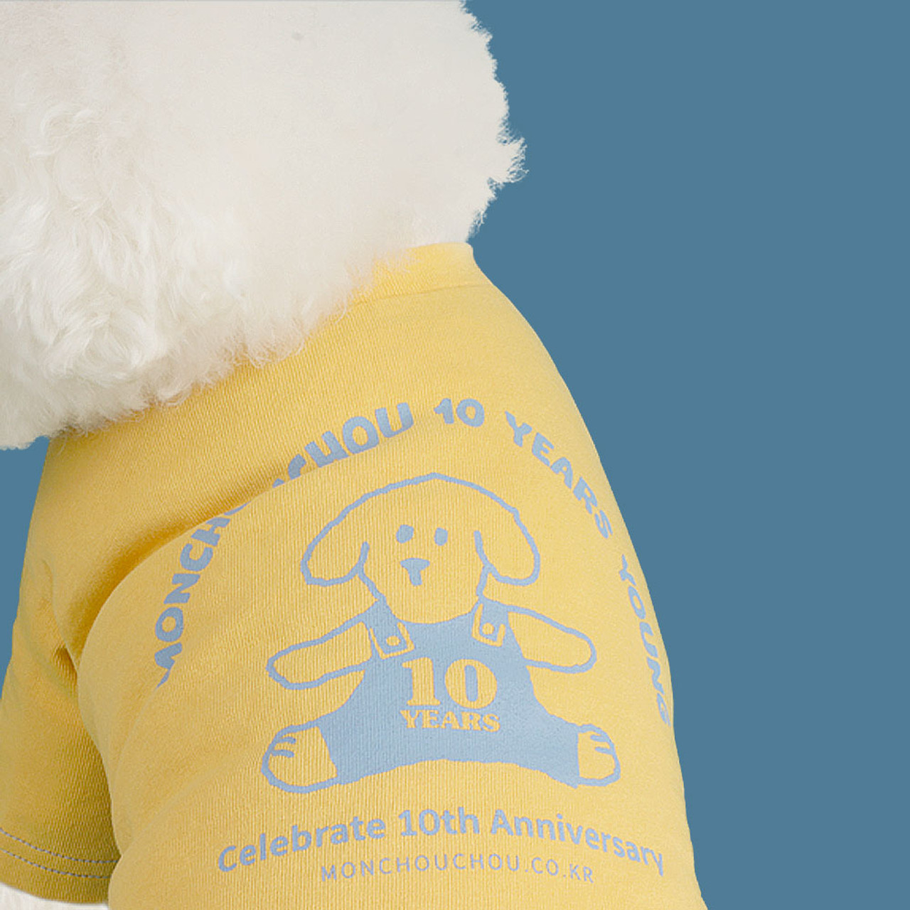 10th Anniversary Crop Top Tee