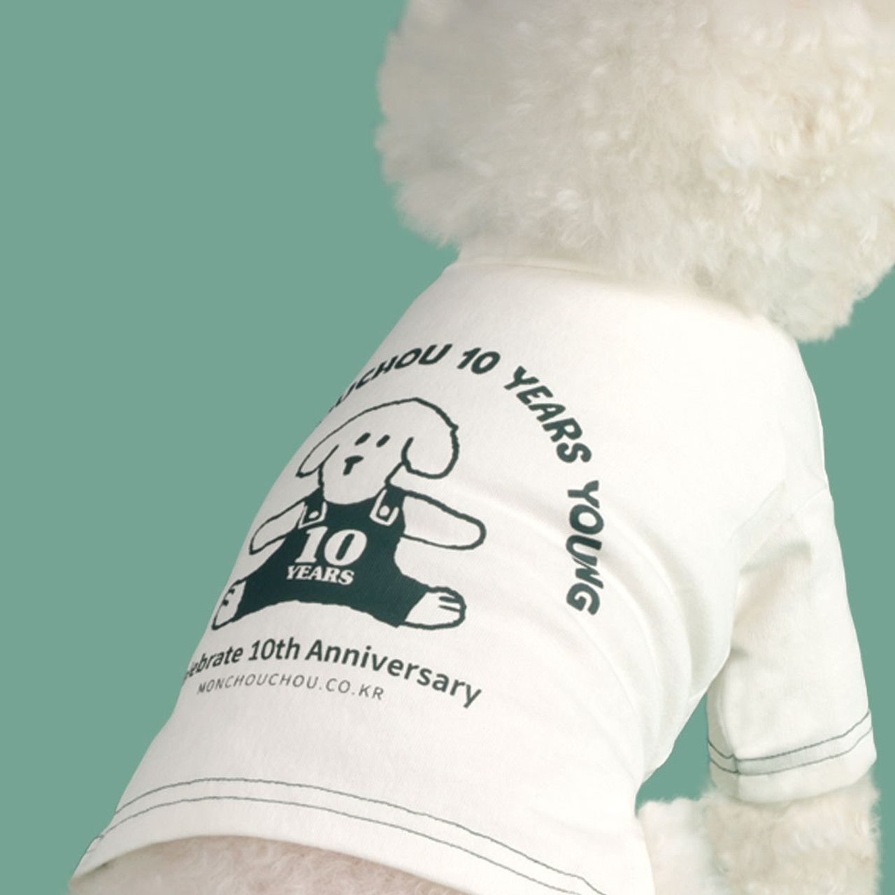 10th Anniversary Crop Top Tee