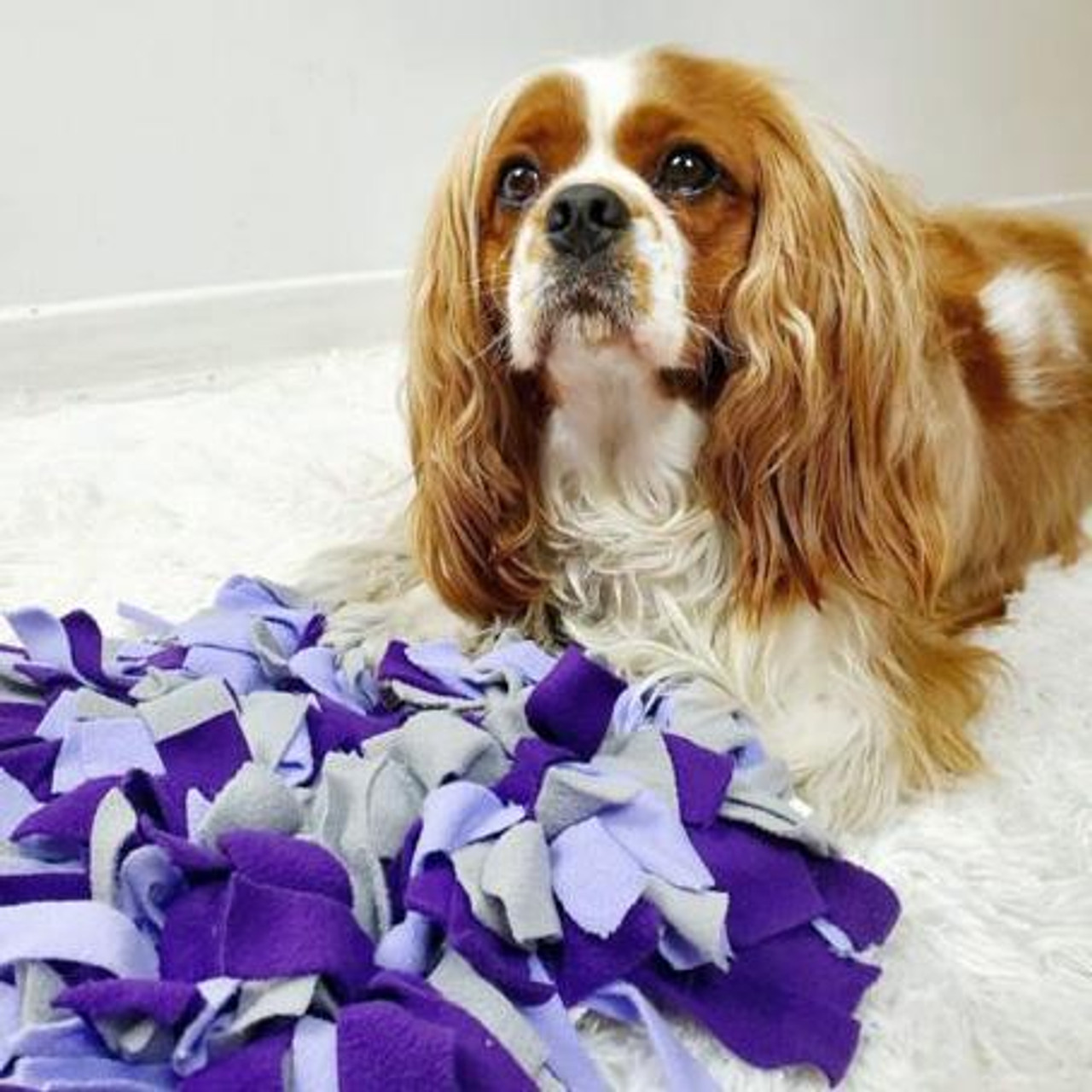 Hide  N Seek Snuffle Mats