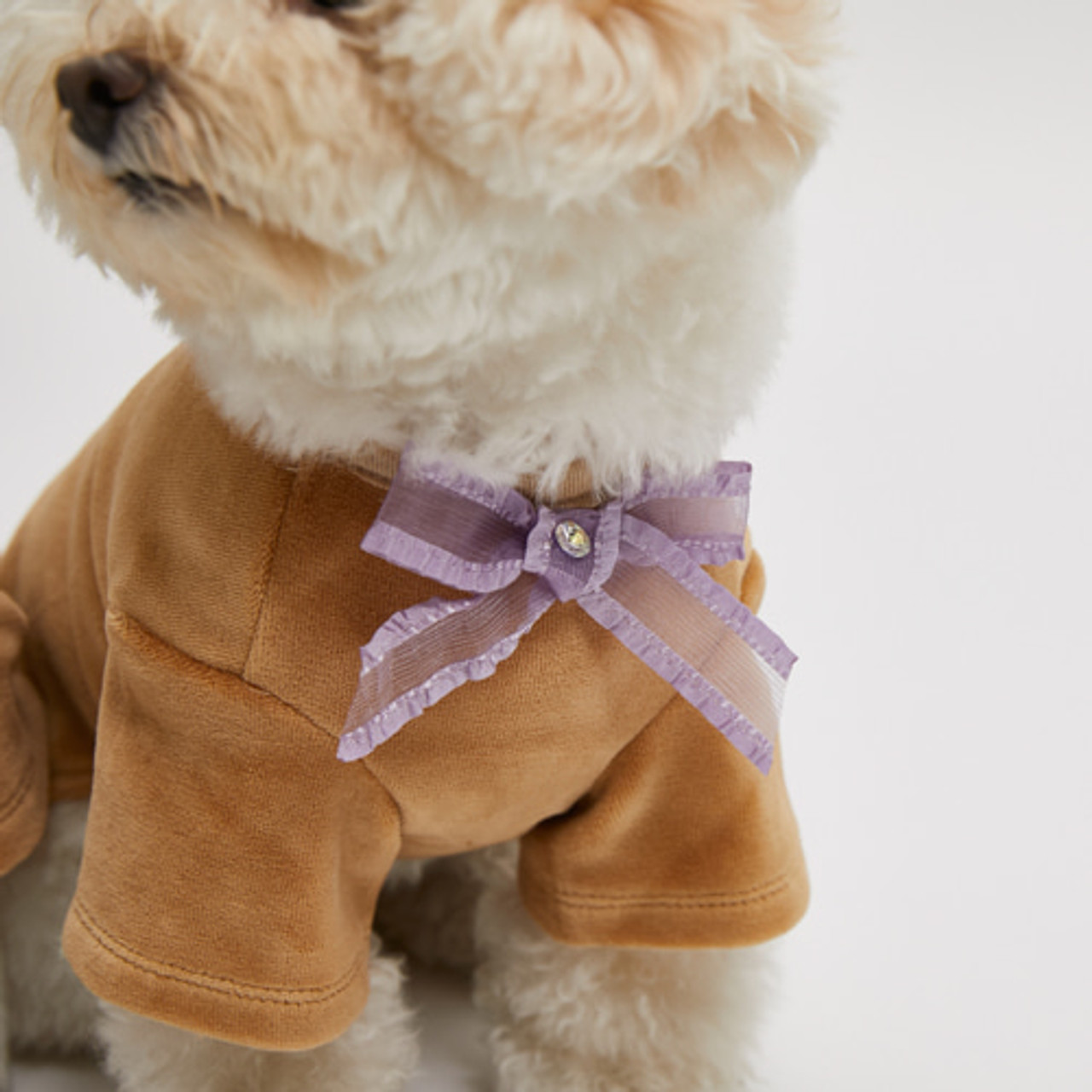 louisdog Rabbit Velour Peekaboo-