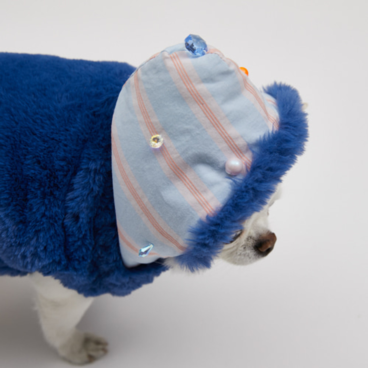 Louisdog Royal Blue One-Mile Hoody