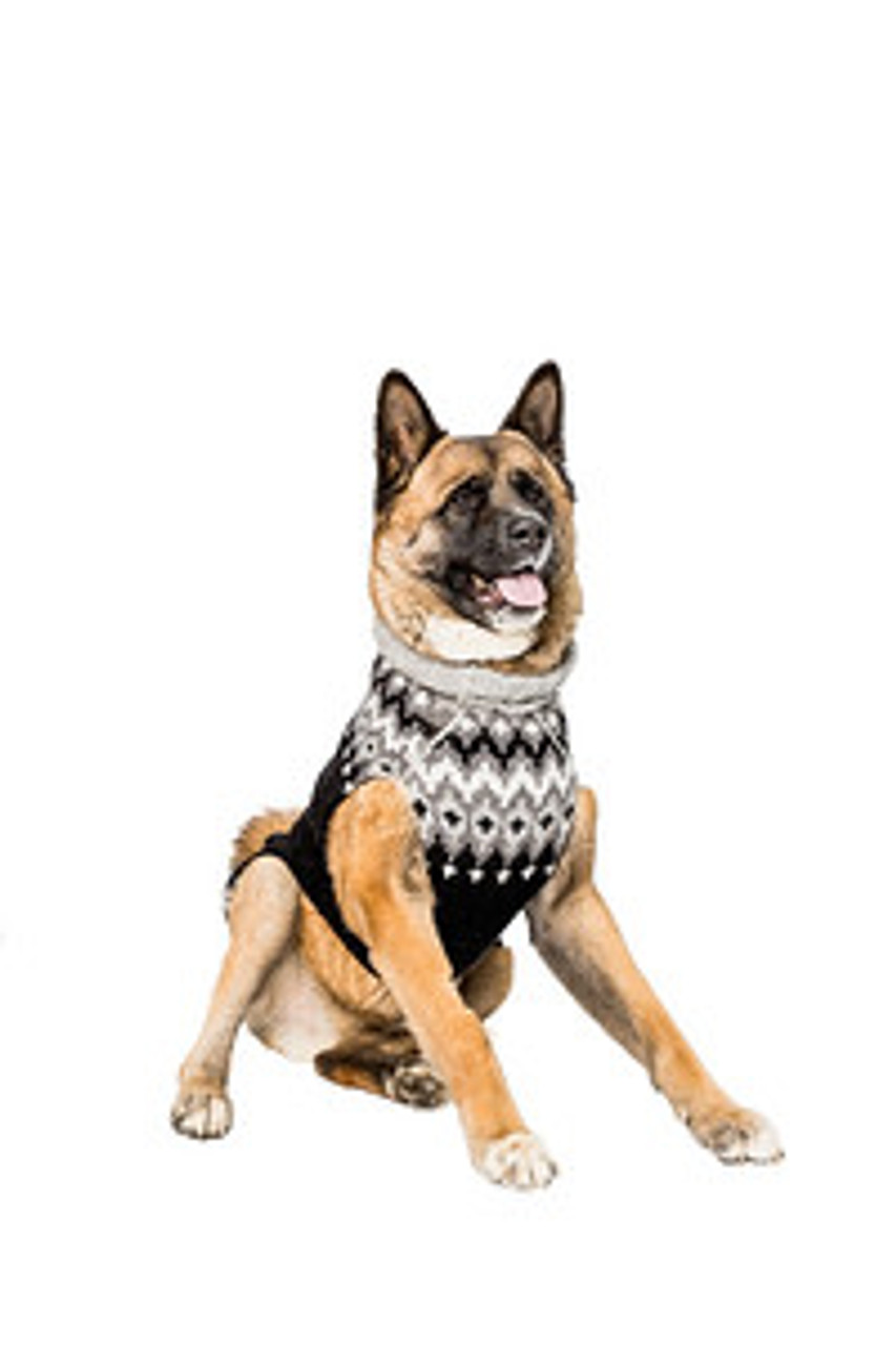 Black Ski Wool Dog Sweater