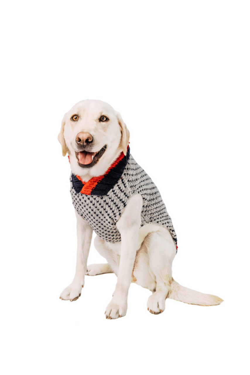 Birdseye Wool Dog Sweater 