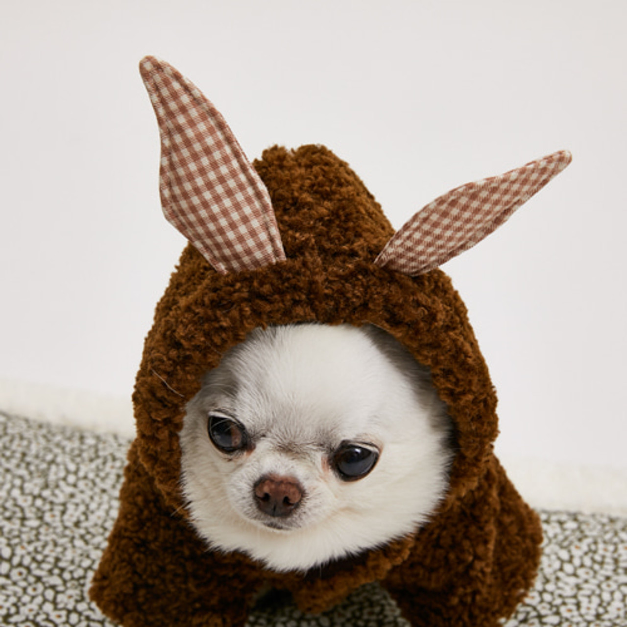 Louisdog Bunny Hoodie/Brown