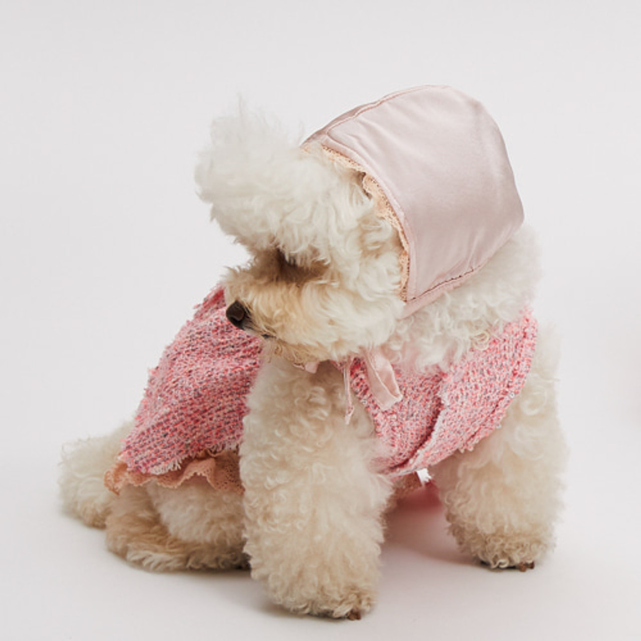 Louisdog Baby Silk Bonnet