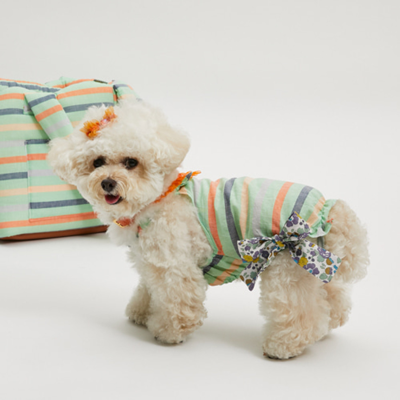 Louisdog Candy Stripe Pants