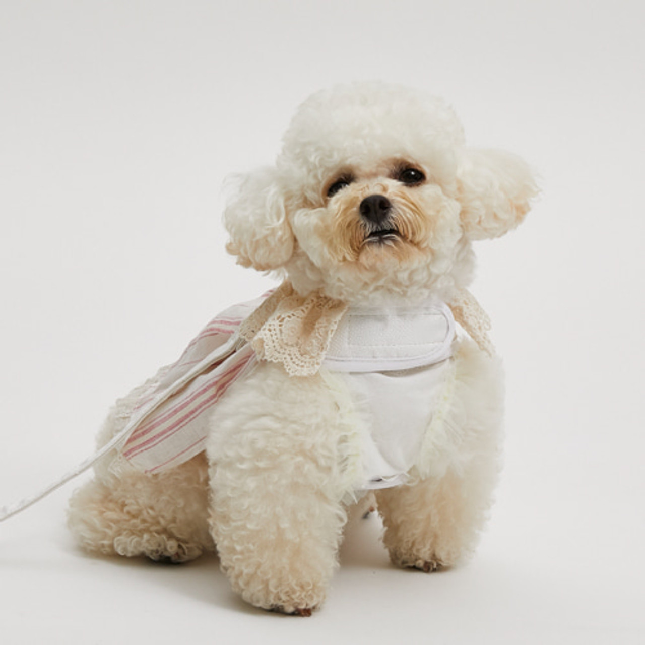 Louisdog Long Beach Wave Linen Harness Set