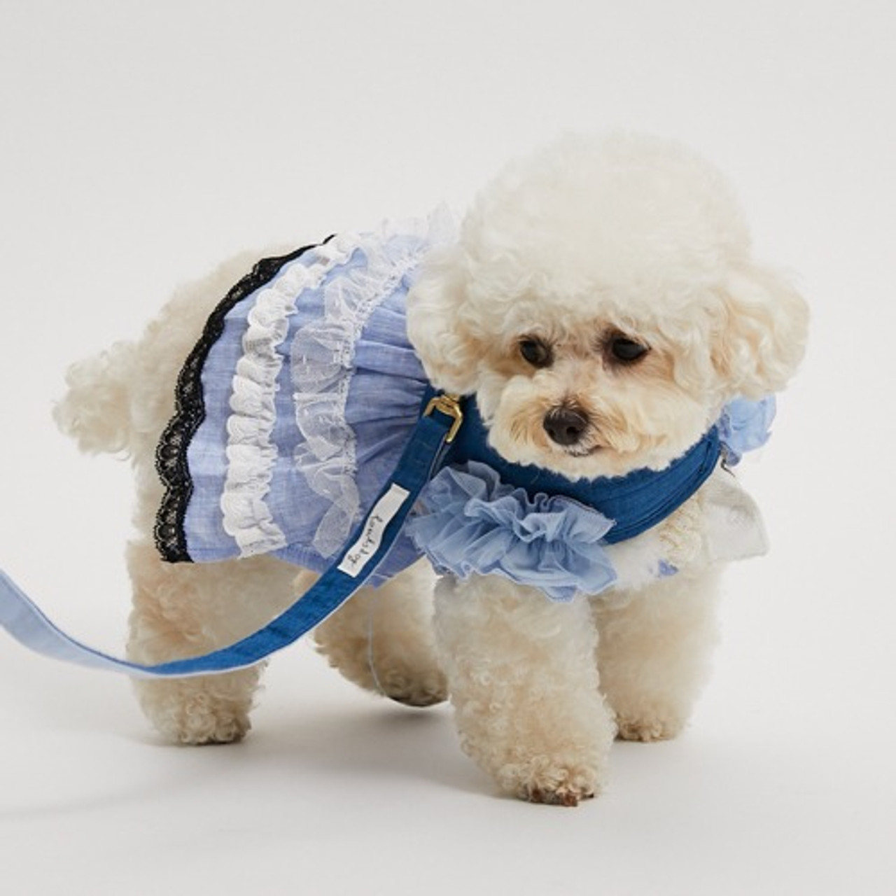 Louisdog Denim Linen Harness Set