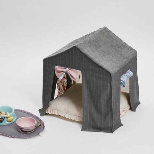 Louisdog Day to Day Peekaboo