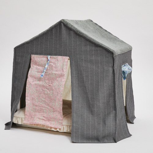 Louisdog Day to Day Peekaboo