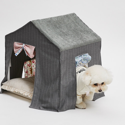 Louisdog Day to Day Peekaboo