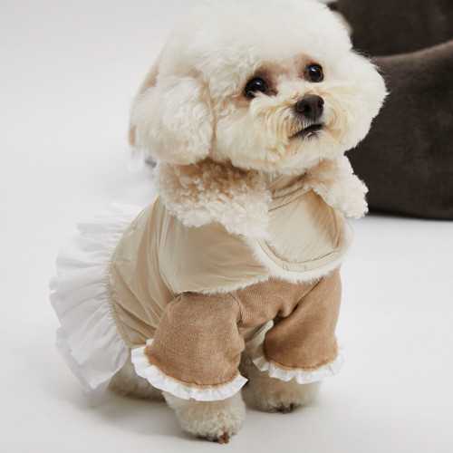 Louisdog Day to Day Peekaboo