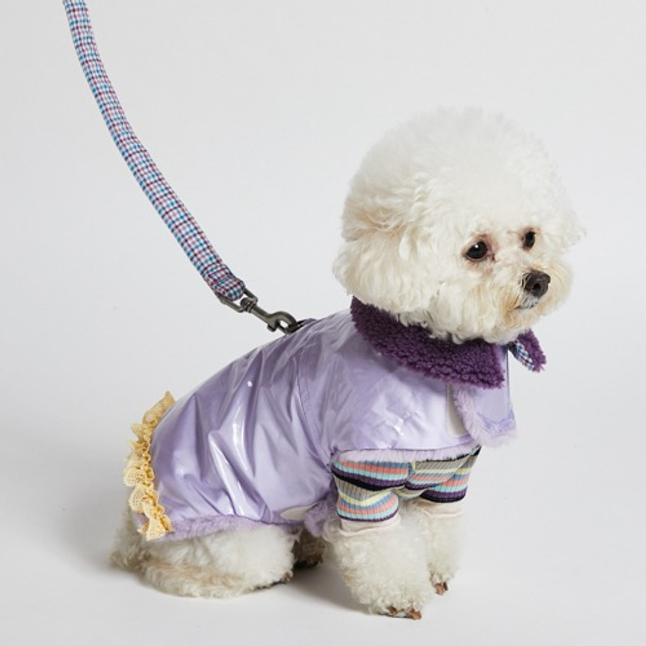 Louisdog Walking Jacket - Shine Purple