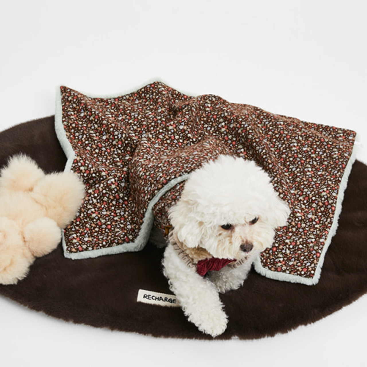 Louisdog Almighty Blanket