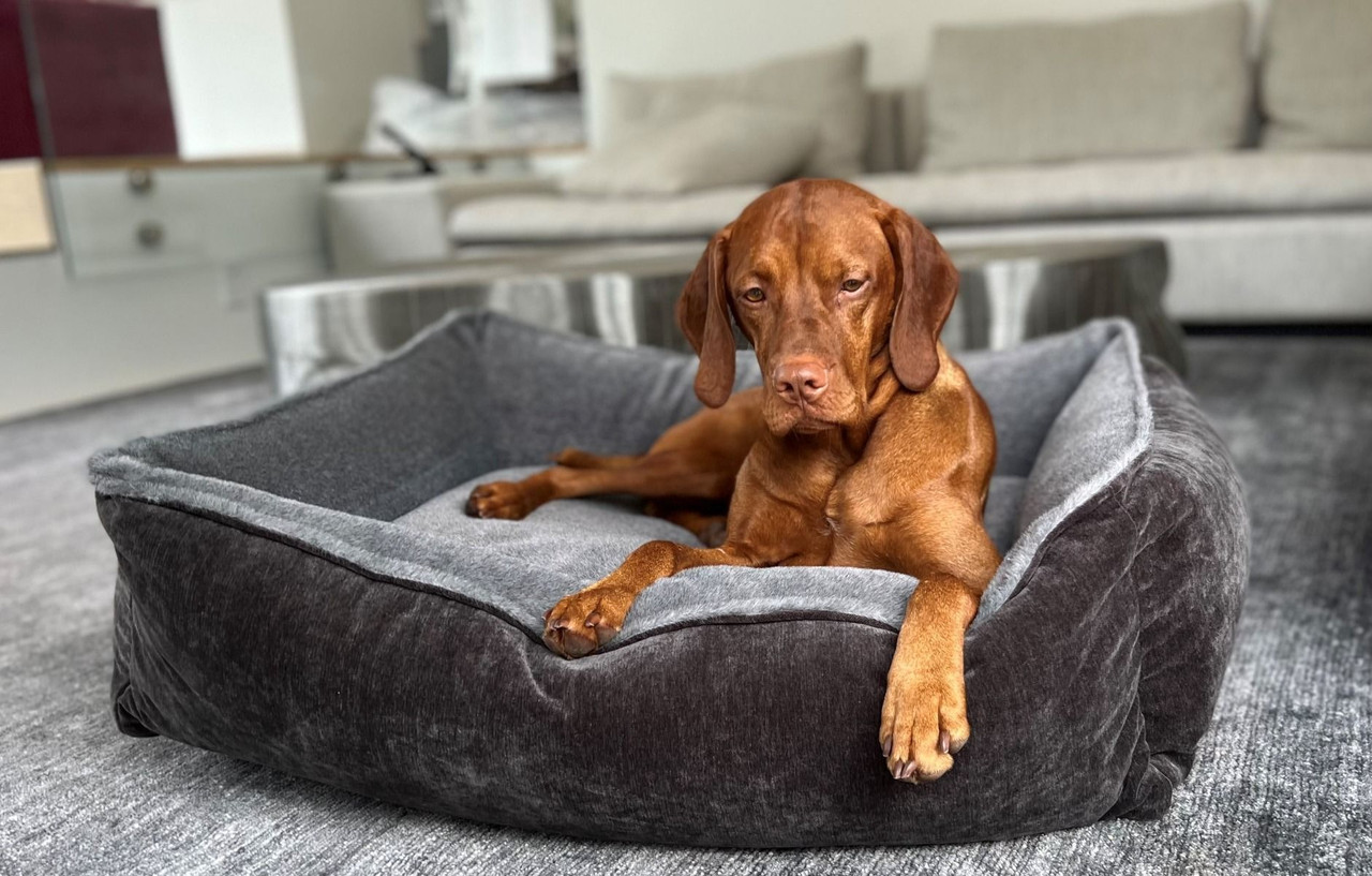 Bowsers Diamond Faux Fur B-Lounge Dog Bed