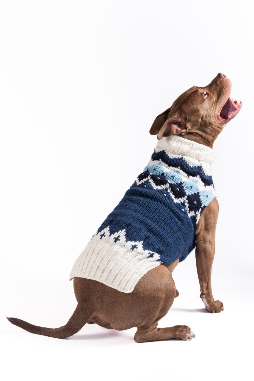 Midnight Ski Bum Dog Sweater