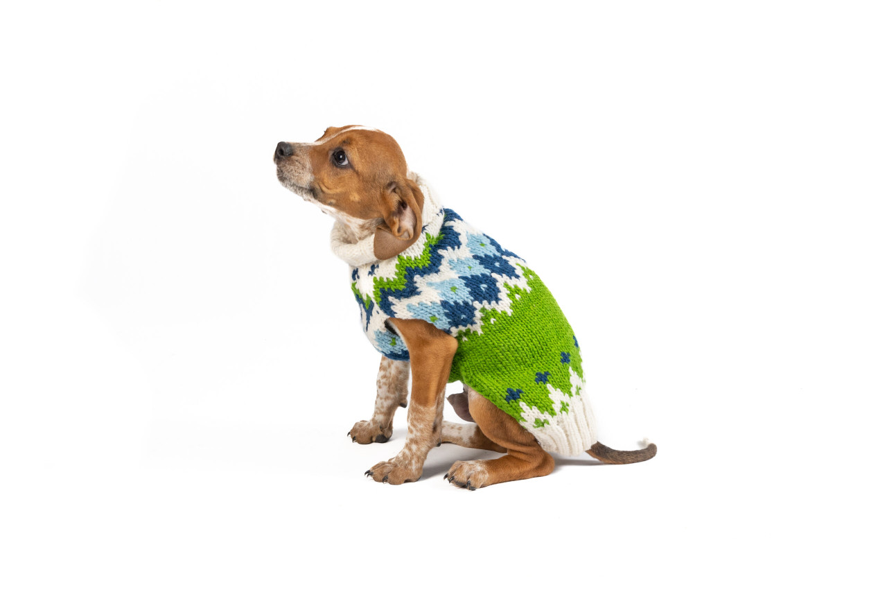 Spring Ski Bum Dog Sweater