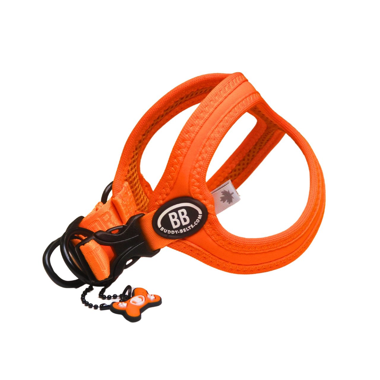 Buddy Belt Sports Harnesses - Vibrant Collection