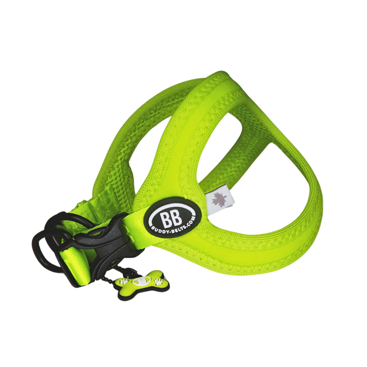 Buddy Belt Sports Harnesses - Vibrant Collection