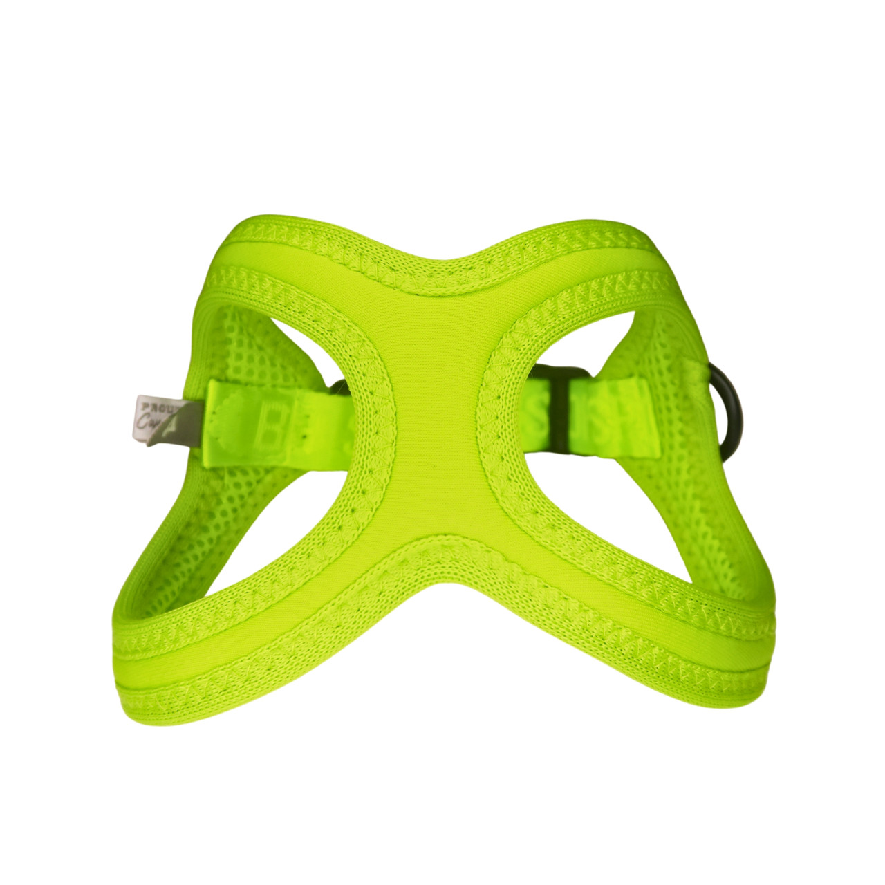 Buddy Belt Sports Harnesses - Vibrant Collection