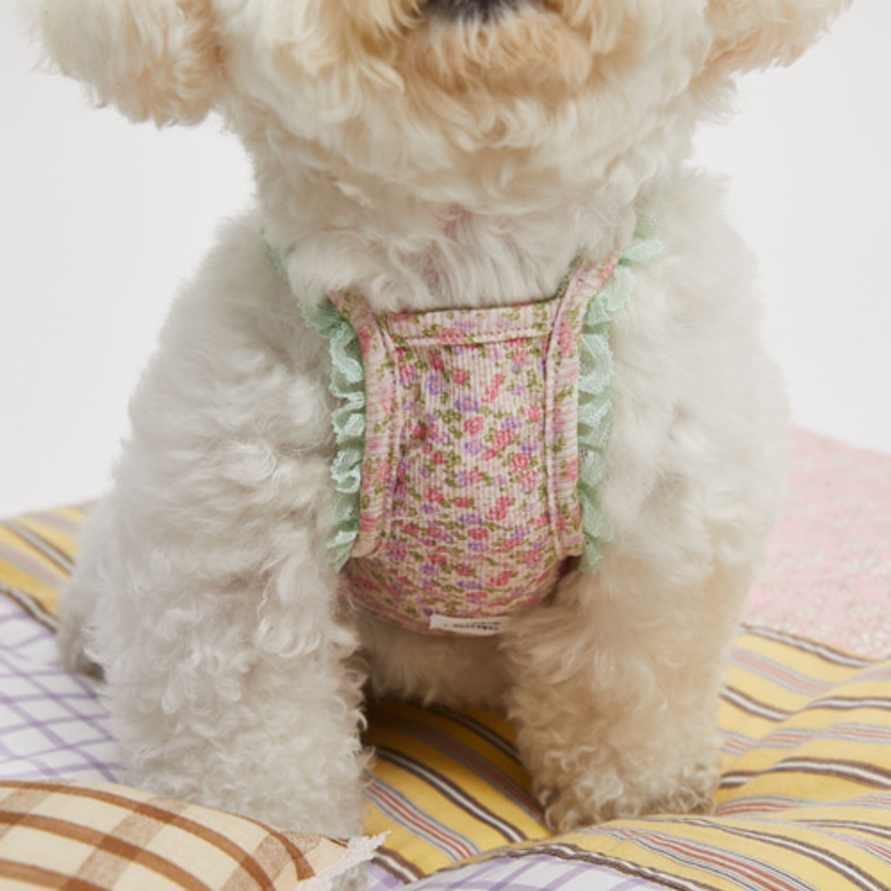 Louisdog ルイスドッグ アイリスTOP Louisdog Iris Top