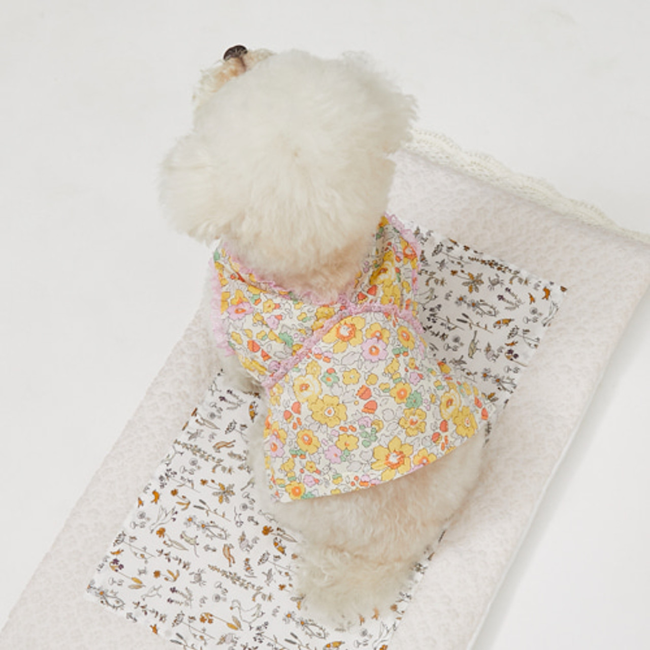 Louisdog Liberty Betsy Flunging Dress