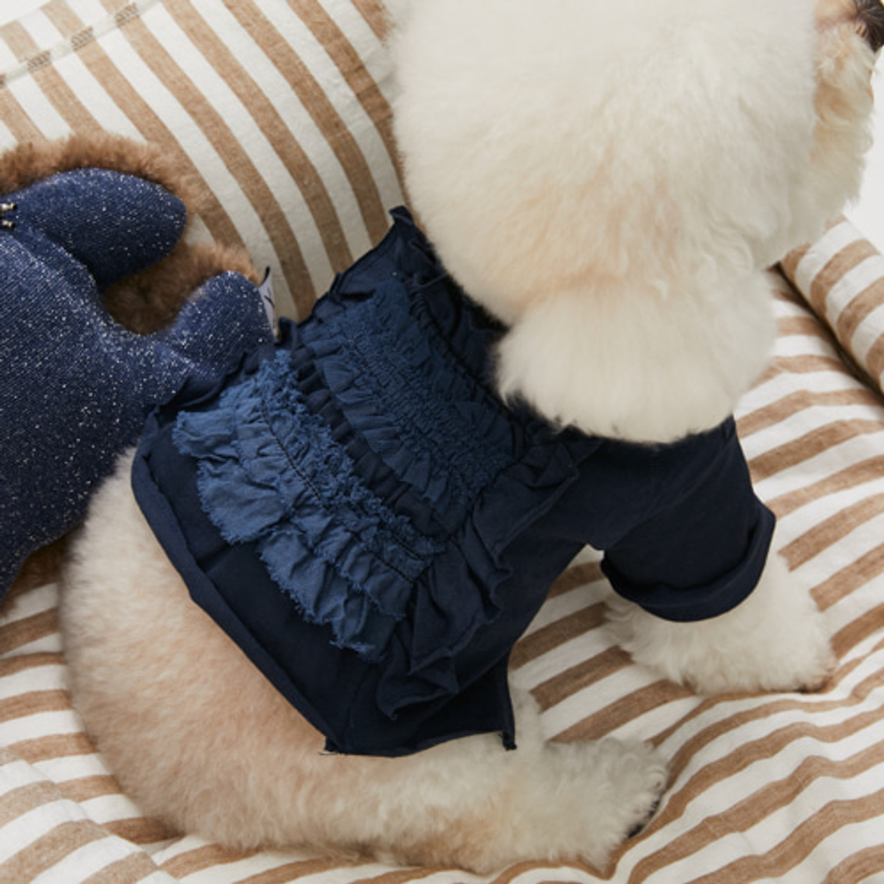 Louisdog Indigo Roll Up