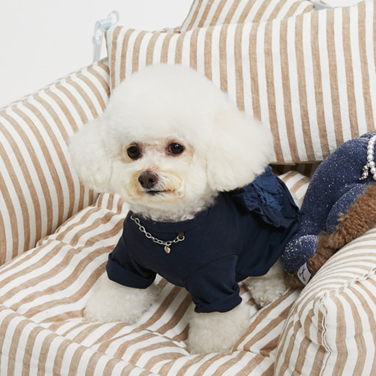 Louisdog Indigo Roll Up