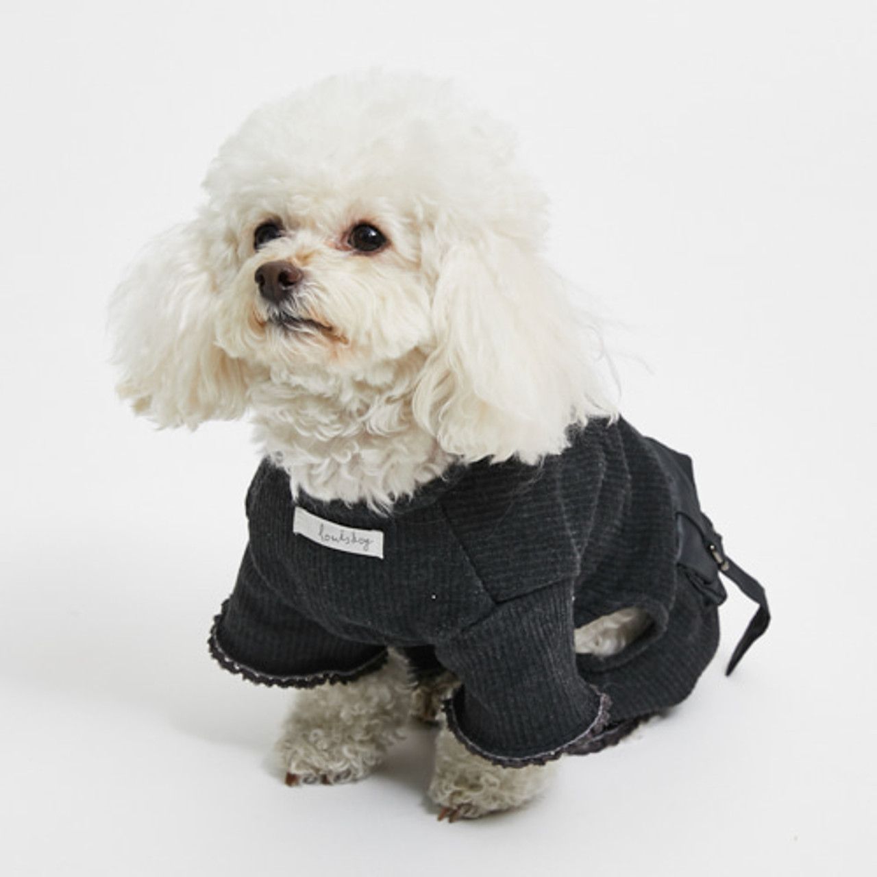 Louisdog Charcoal Art Pocket All-in-One