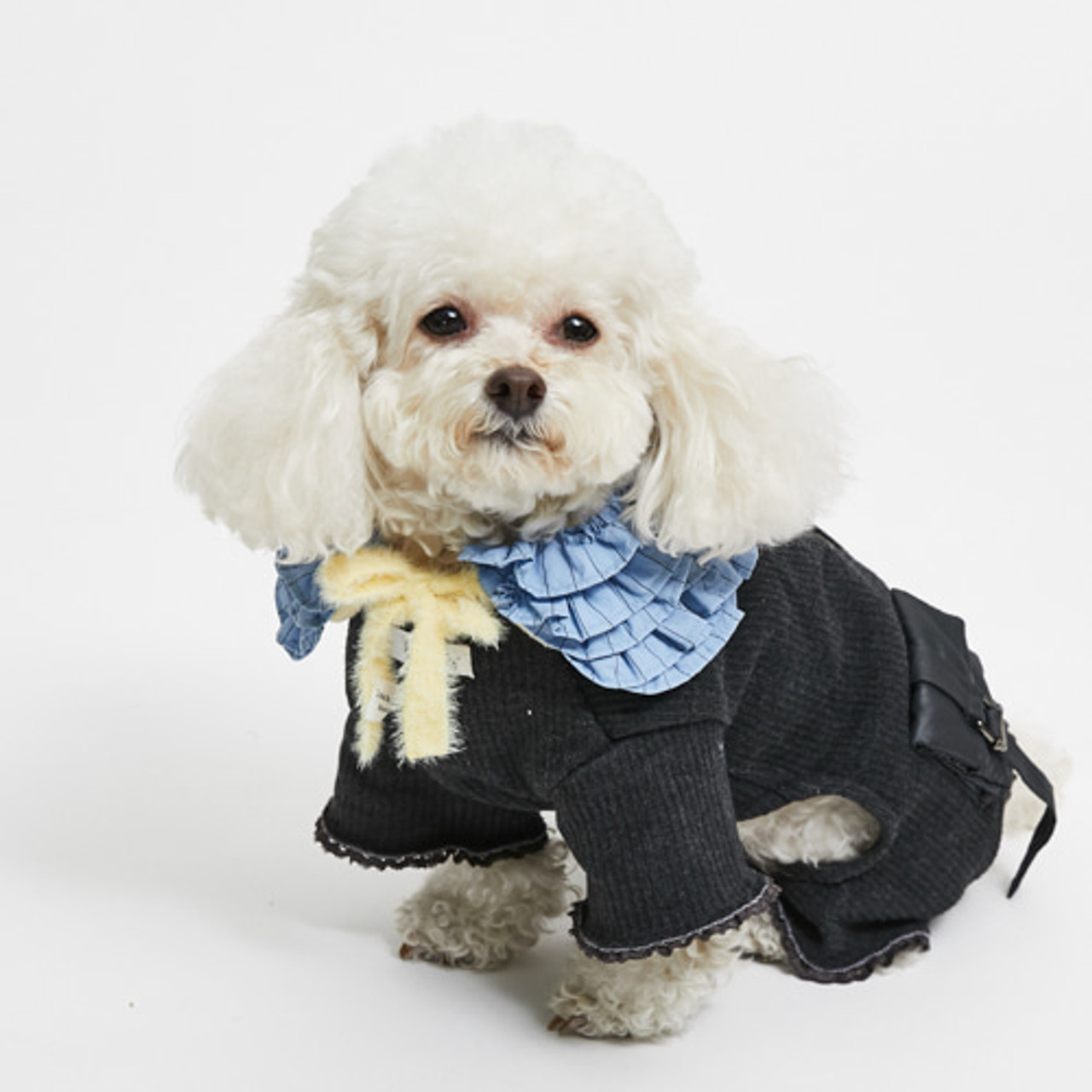 Louisdog Charcoal Art Pocket All-in-One