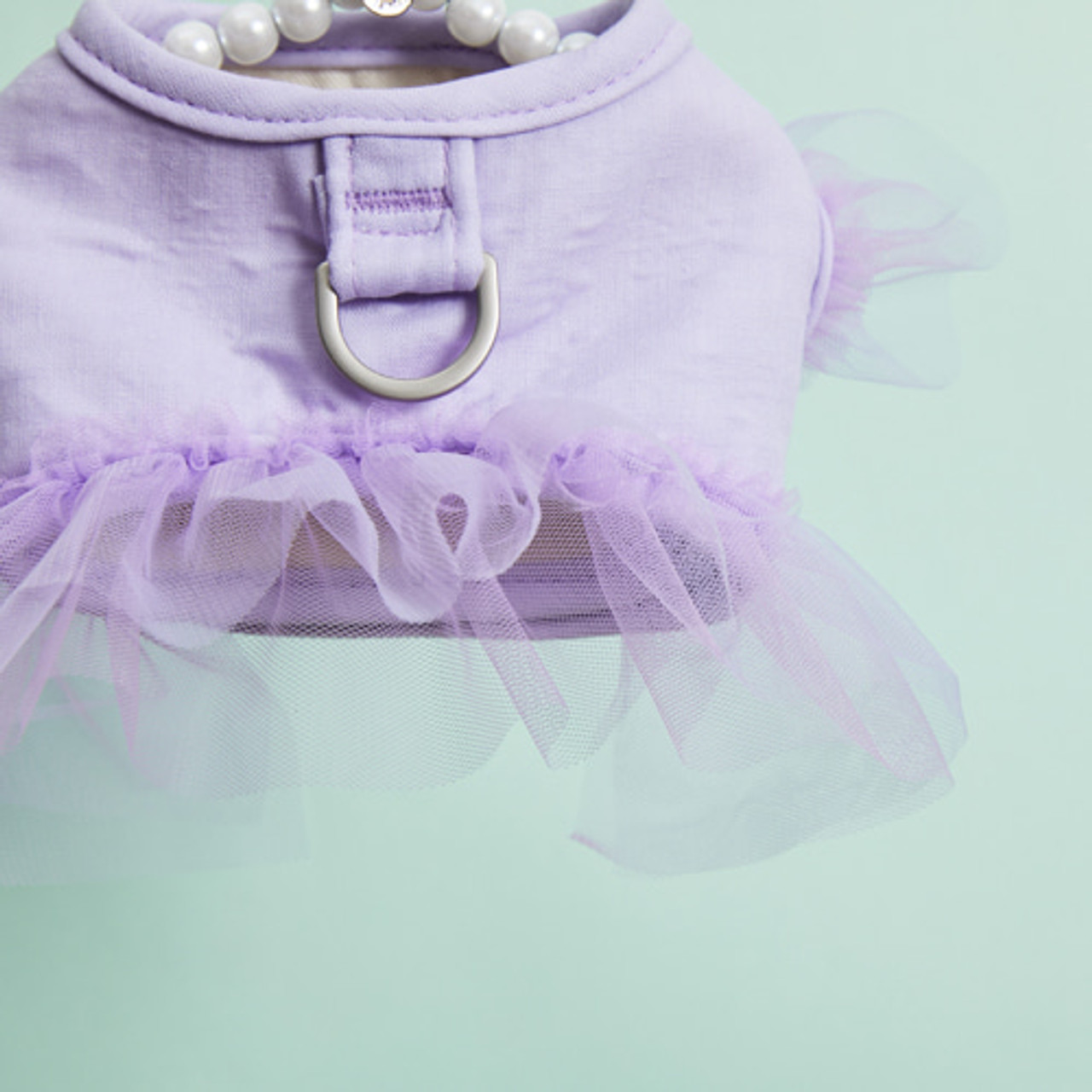 Louisdog Walk With Me/Viola Tutu
