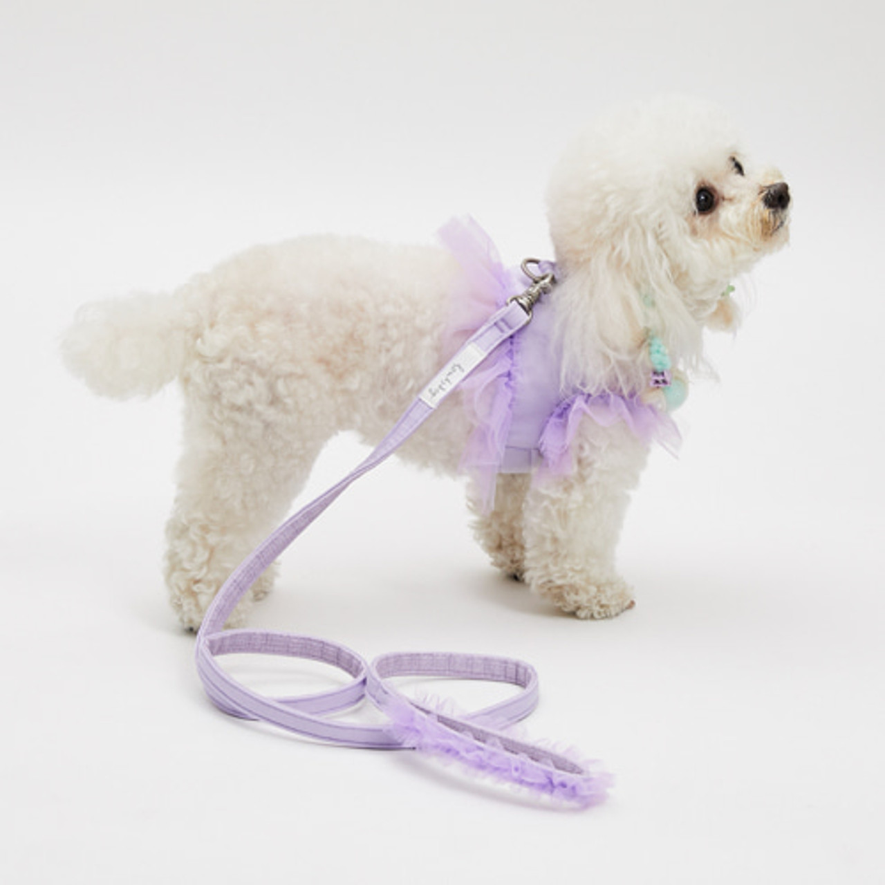 Louisdog Walk With Me/Viola Tutu