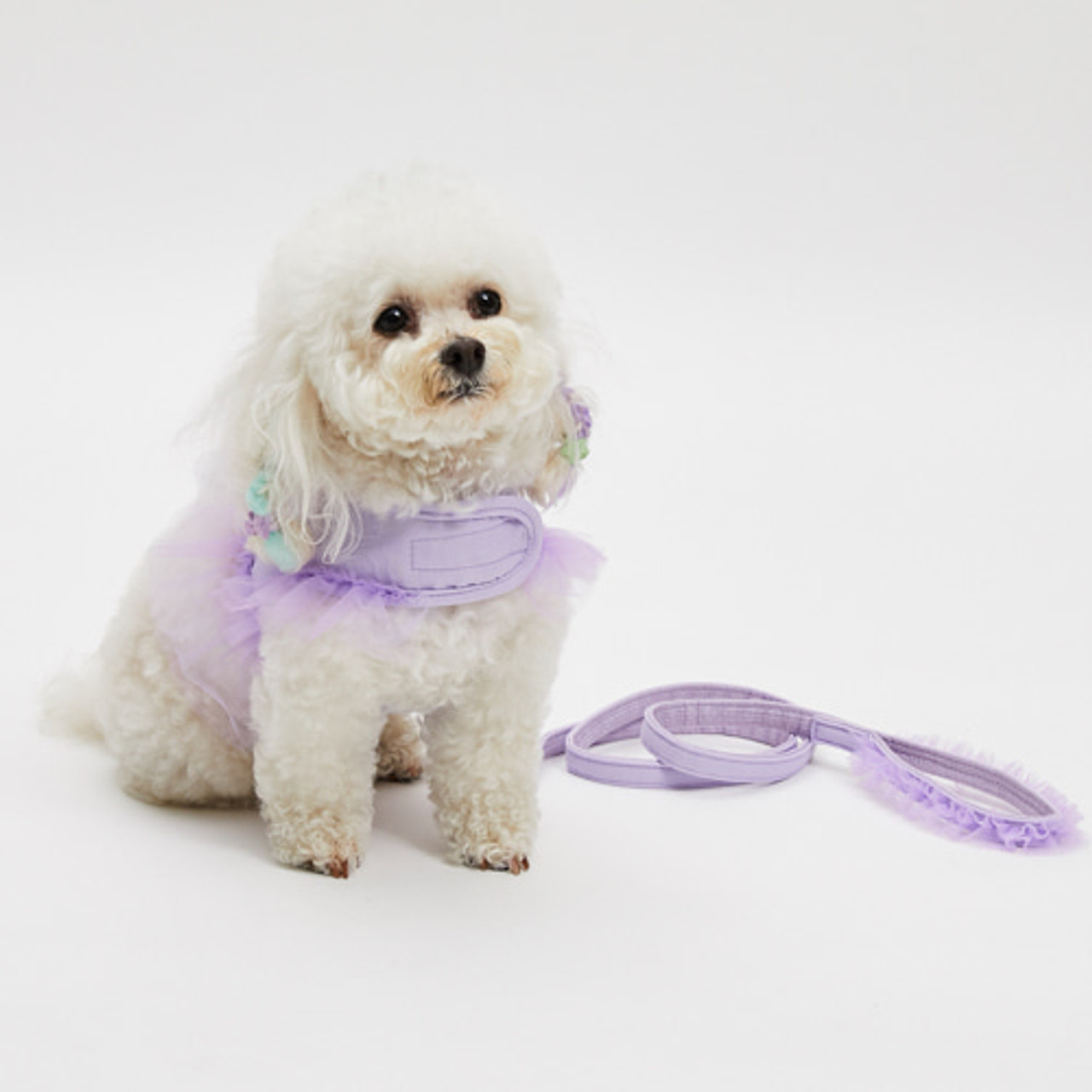 Louisdog Walk With Me/Viola Tutu