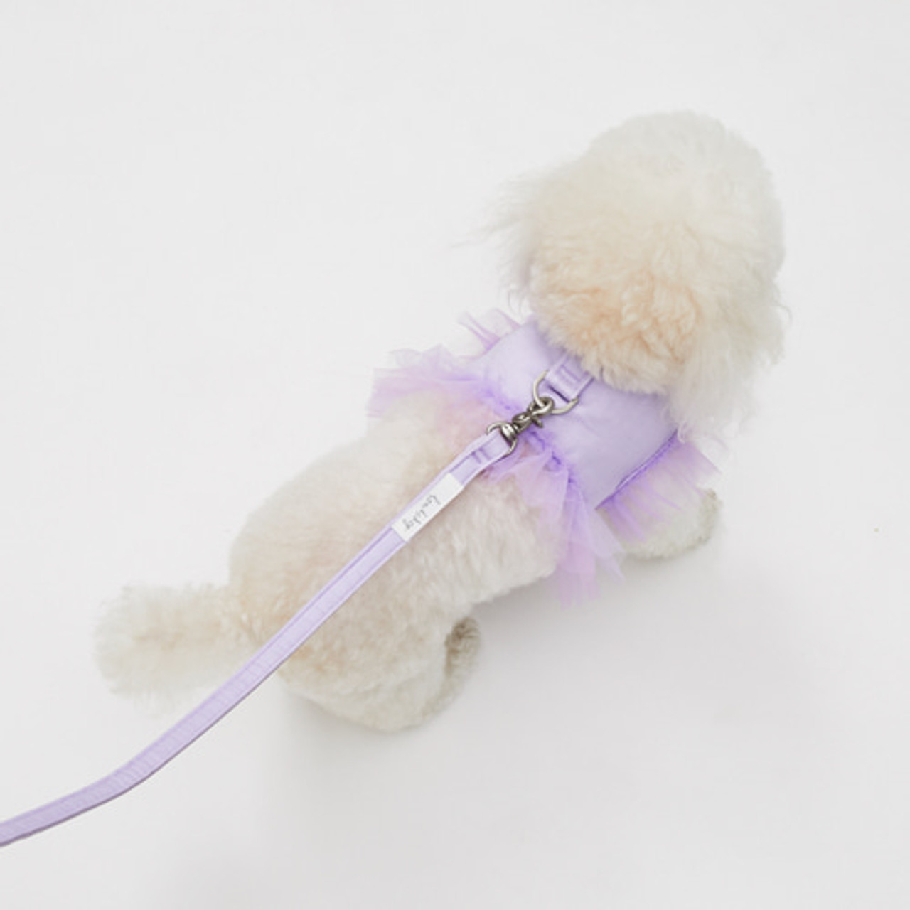 Louisdog Walk With Me/Viola Tutu