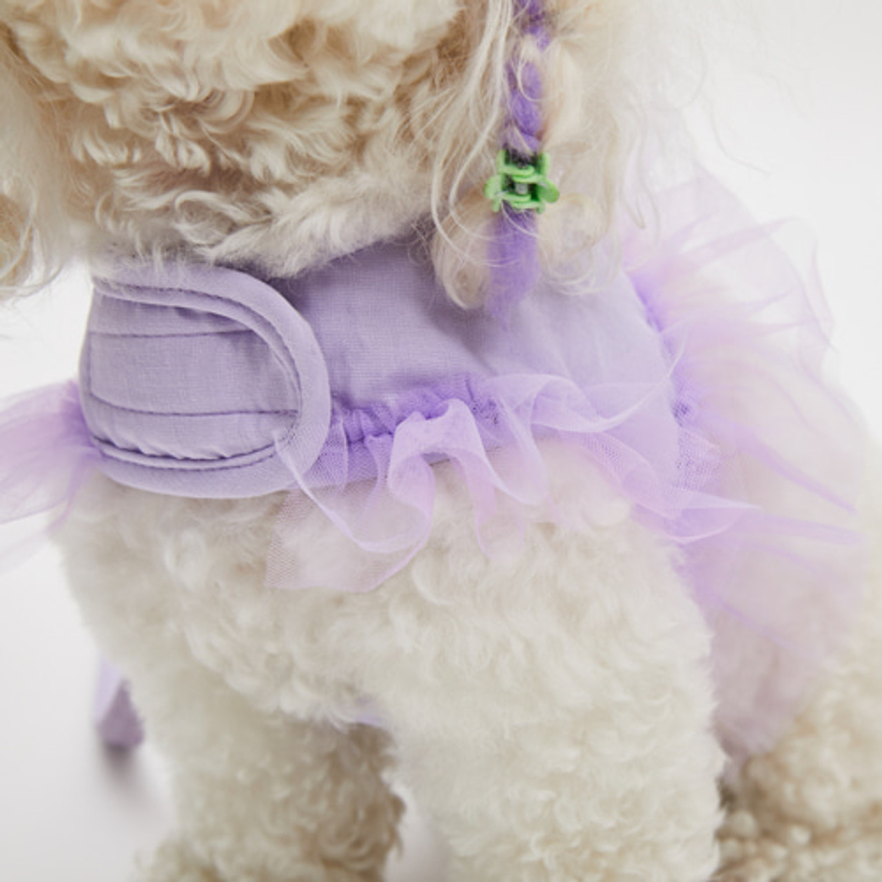Louisdog Walk With Me/Viola Tutu