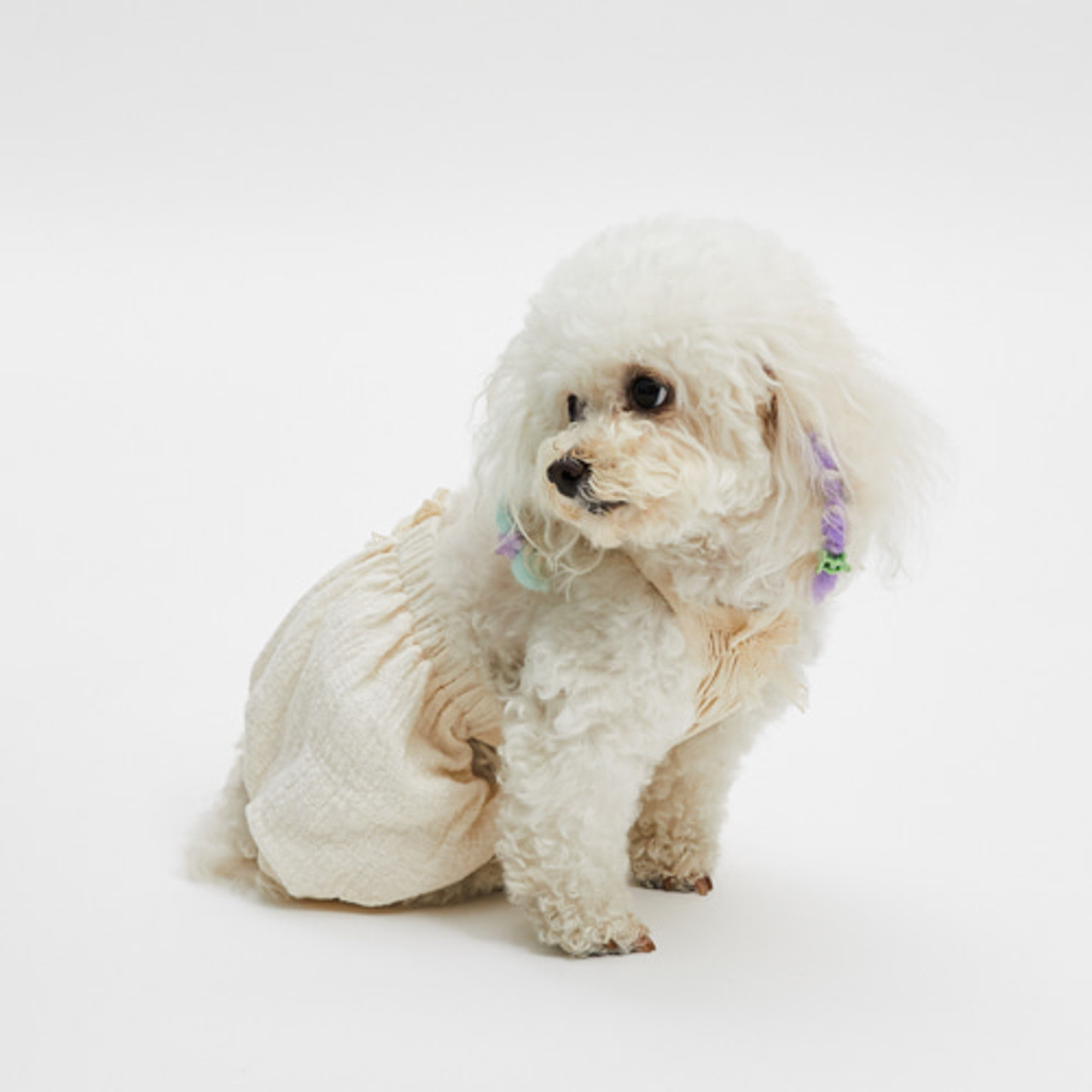 Louisdog Cremà Puff Shorts