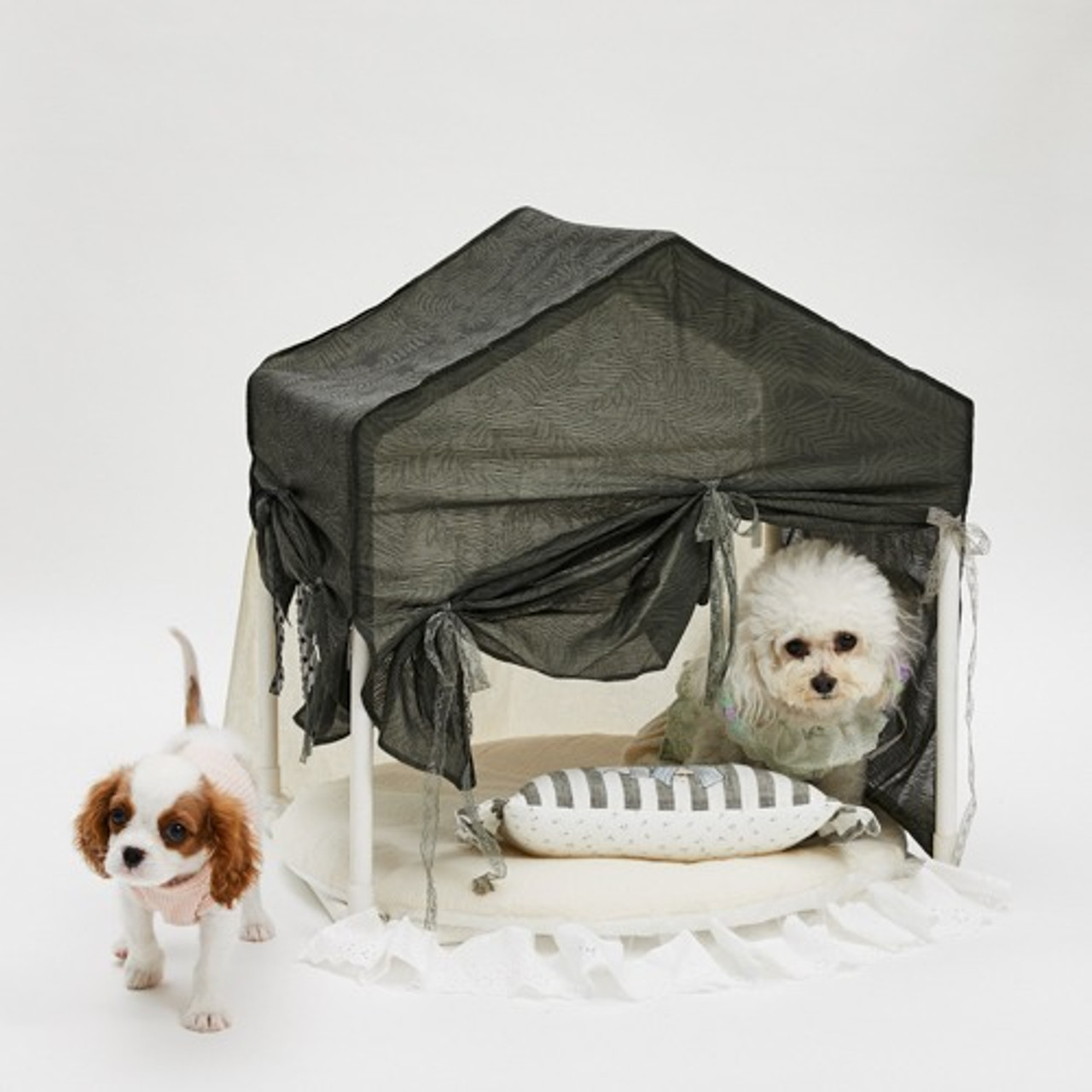 Louisdog Peekaboo Dog House/Palma Cabana
