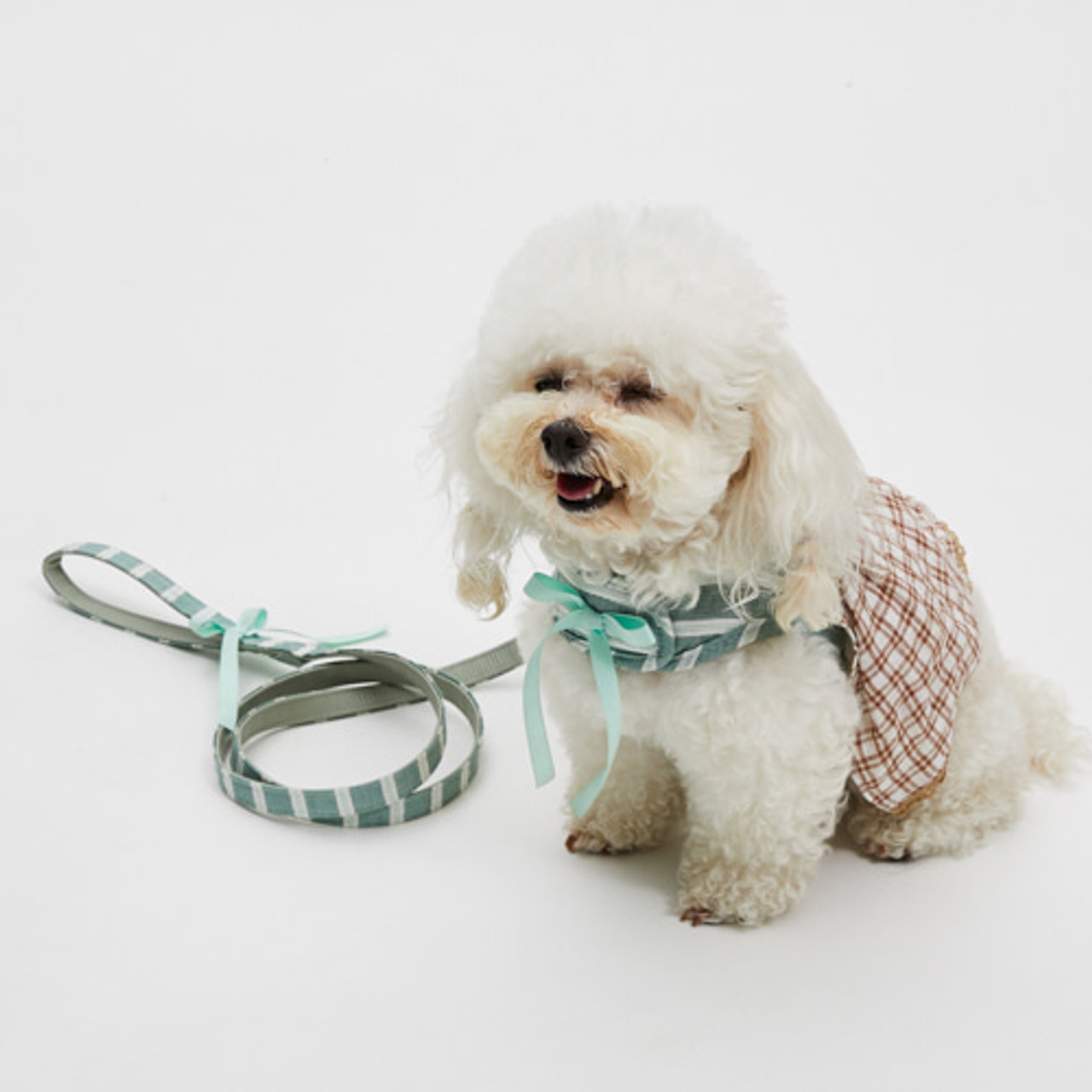 Louisdog Walk With Me/La Campagna