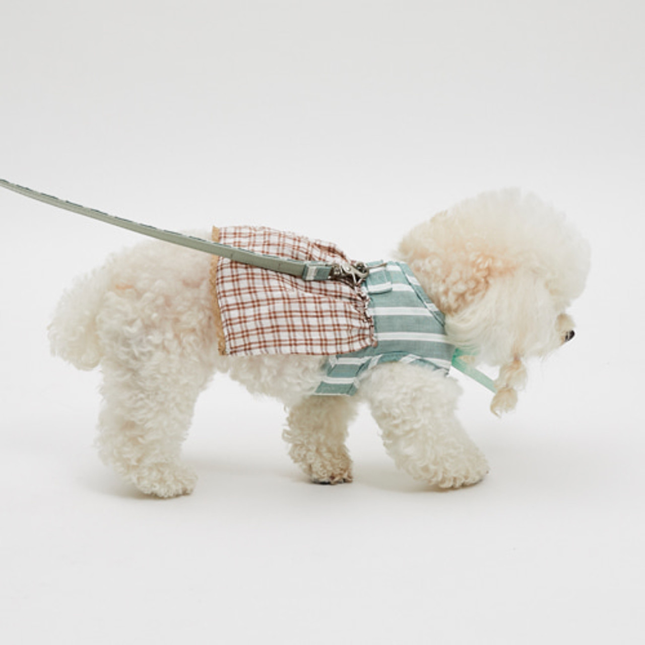Louisdog Walk With Me/La Campagna