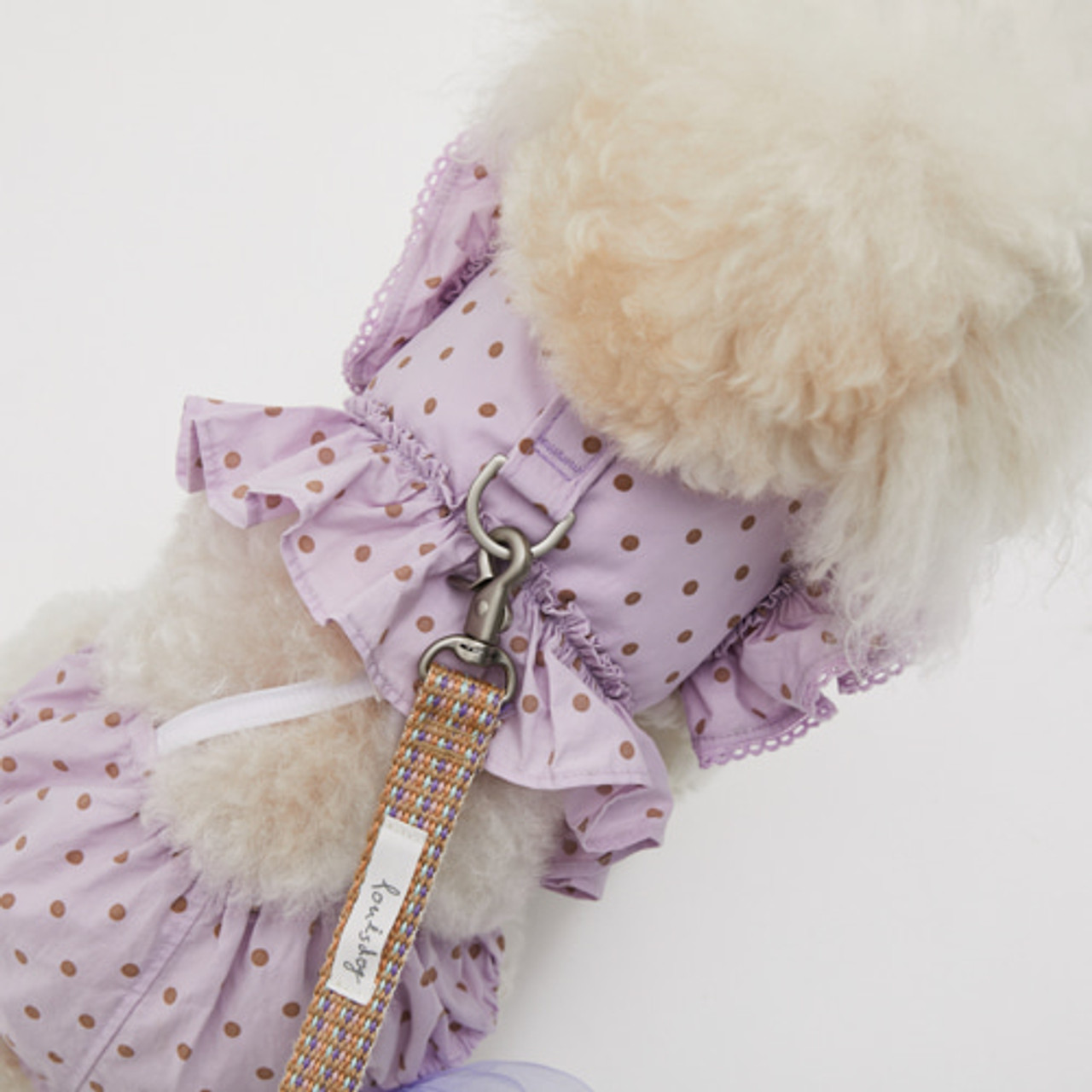 Louisdog Walk With Me/Sweet Lavender