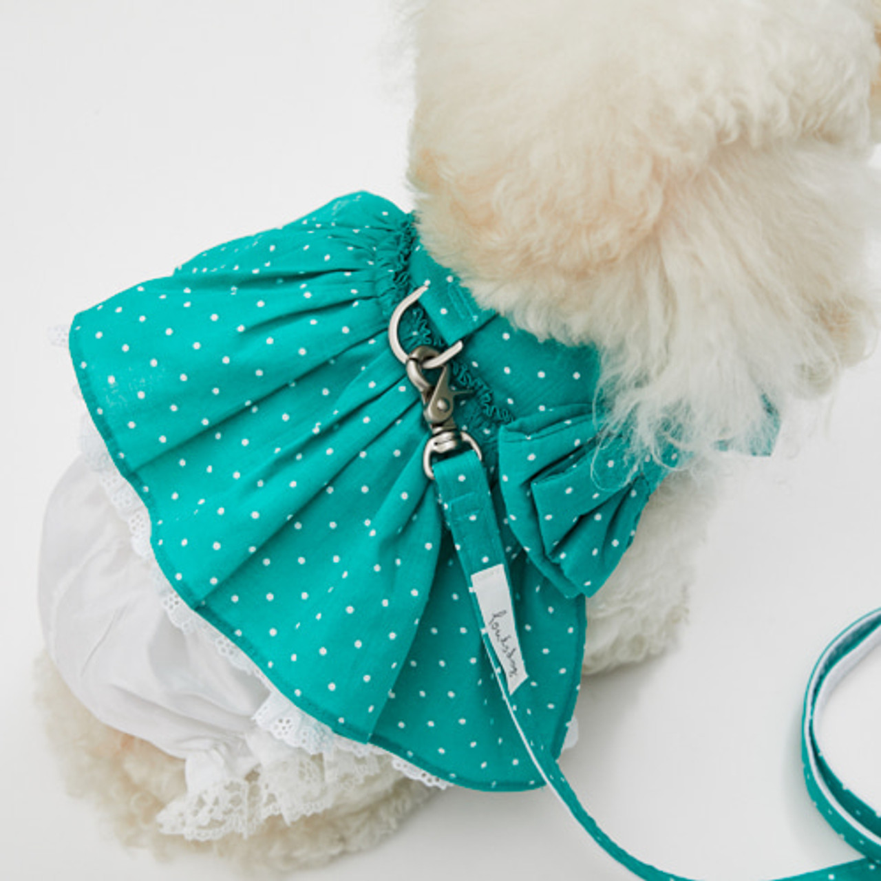 Louisdog Walk With Me/Dots Garden