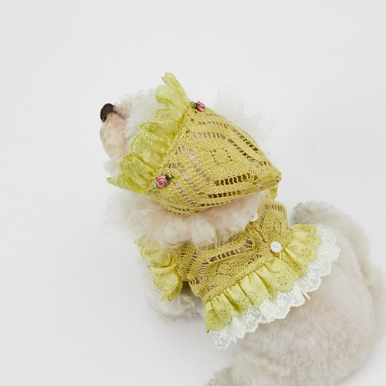 Louisdog Solei Croche Bonnet