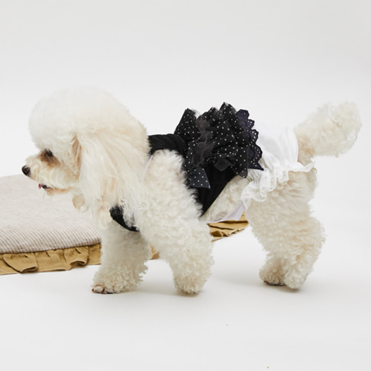 Louisdog Midnight Dots Sleeveless