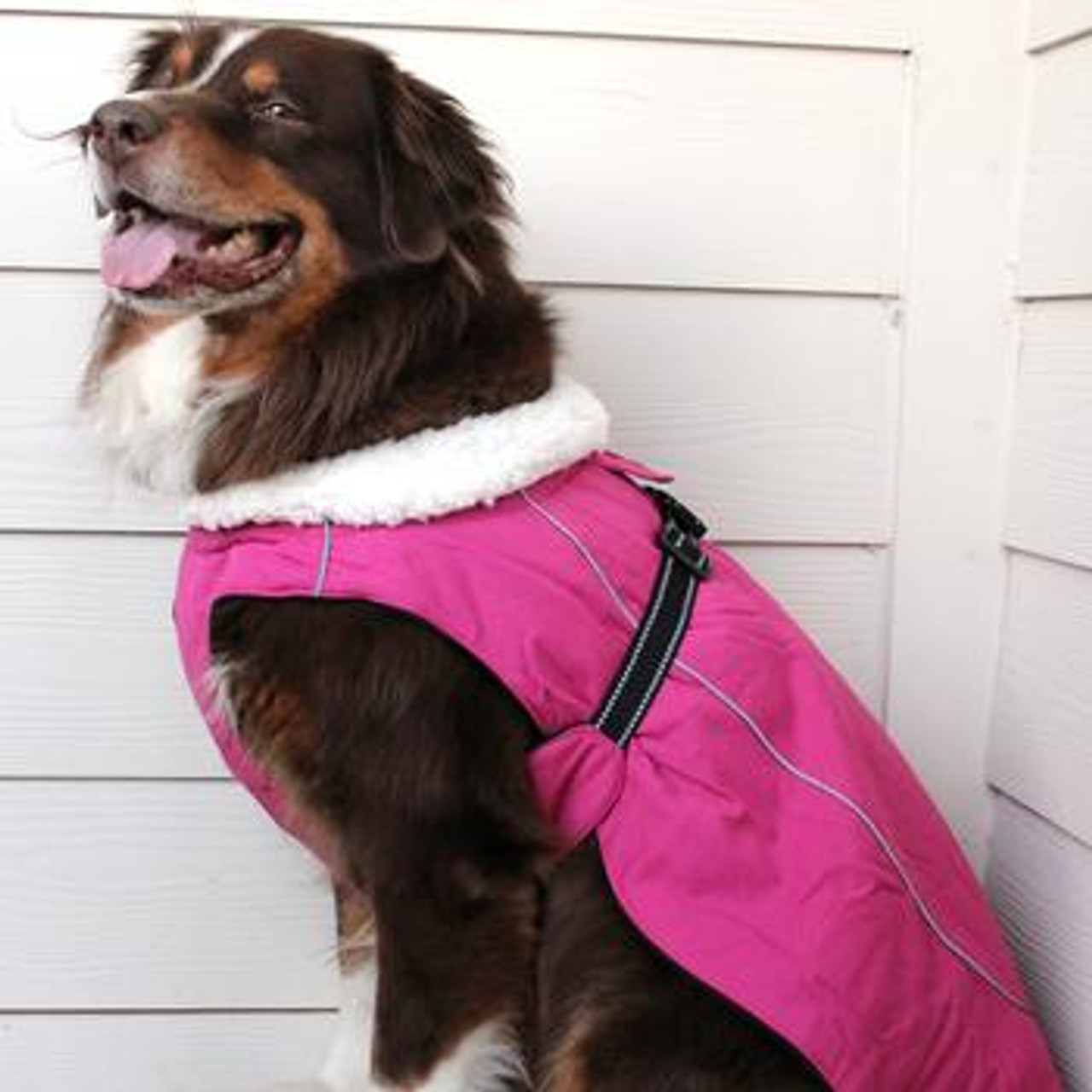 Alpine Tuf Terrain Dog Coat 