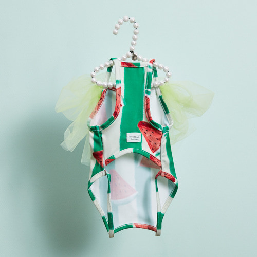 Louisdog Pool Club/Watermelon Bodysuit