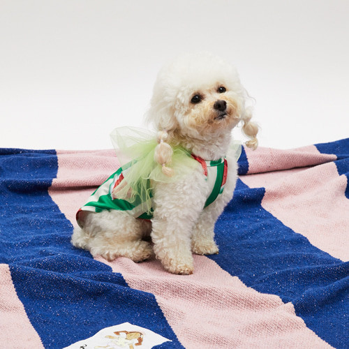 Louisdog Pool Club/Watermelon Bodysuit