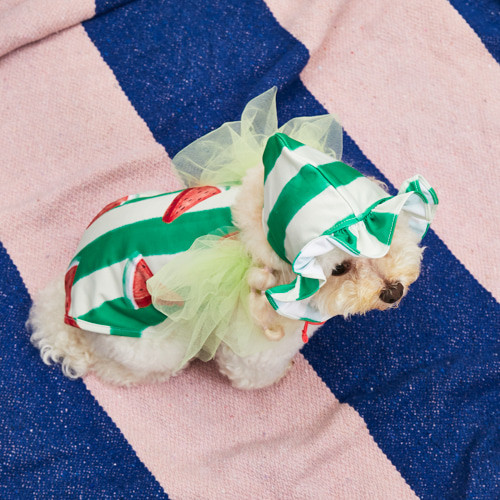 Louisdog Pool Club/Watermelon Bonnet