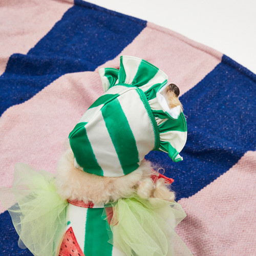 Louisdog Pool Club/Watermelon Bonnet