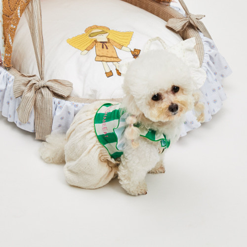 Louisdog Pool Club/Watermelon Top